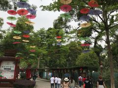 -珠海圆明新园