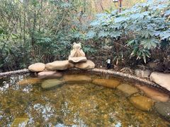 -天目湖涵田半山温泉