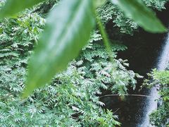 -波尔登森林公园