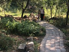 -大岭沟猕猴桃谷风景区