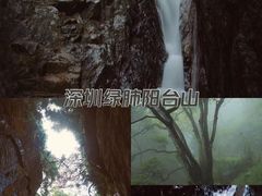 -阳台山森林公园