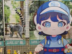 -海南热带野生动植物园