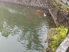 -玉苍山国家森林公园