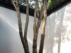 -秋霞圃