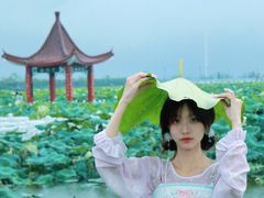 -荷花荡