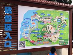 -西霞口神雕山野生动物世界