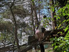 -芦仙山景区-飞越丛林探险乐园