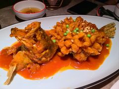 -新白鹿餐厅(嘉兴八佰伴华府店)