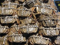 -九月海·海鲜自助(世纪东方店)