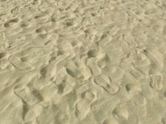 -普陀山风景名胜区-千步大沙