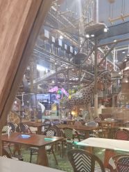 -卡通尼·Safari非洲探索乐园·生日会(金桥国际商业广场店)