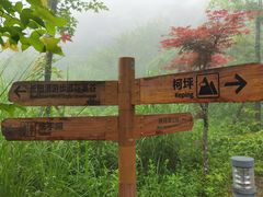 -鼓岭旅游度假区
