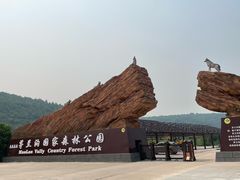 -茅兰沟国家森林公园