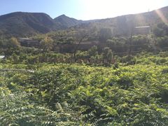 -北京上方山国家森林公园