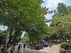 -武汉大学-樱园