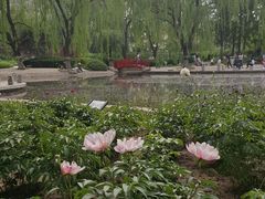 -玲珑塔公园