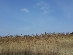 -苏州香山国际大酒店