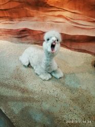 -酷嗒动物文化乐园(cutezoo西溪乐天城店)