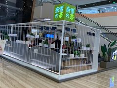 大堂-奈雪的茶(市百一店)