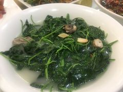 上汤辣椒叶-朱仔记食府(江南大道店)