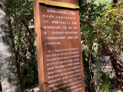 -普洱太阳河森林公园