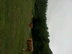 android_upload_pic-帽儿山风景区