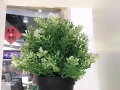 -813芭依珊 BAESAn(汇港购物中心店)