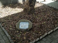 -上海醉白池公园