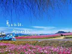 -径山花海