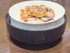 -滕头生态酒店(奉化店)