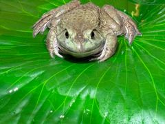 -传统菜农庄(皇姑路店)