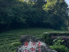 -敬亭山风景名胜区