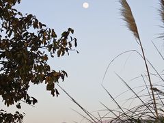 -西昌邛海湿地