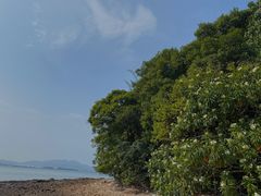 -坝光海滩