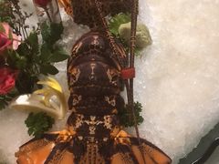 -红门金汤·港式火锅(英皇集团中心店)