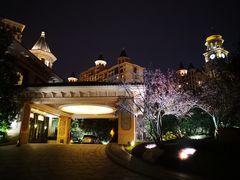 -上海浦东星河湾酒店