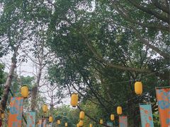 -南宁南湖公园
