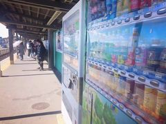 -鎌倉茶々(本店)