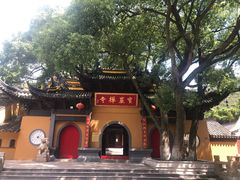 -宝岩生态观光园