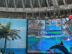 -海合安成都极地海洋公园