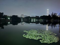 -荔枝公园(福田区)