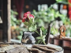 -小龙翻大江文化火锅(宽窄店)