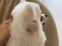 -怪兽屋·羊驼·猫咖·狗咖(俊华广场店)