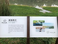 -桤木河湿地公园