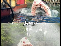 -日本环球影城