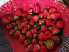 -胜丰草莓采摘园