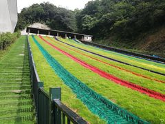 -梦幻奥陶纪景区