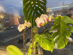 -观塘港茶餐厅(八一大道店)