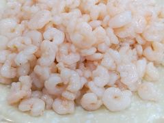 清炒河虾仁-协和菜馆(凤凰街店)