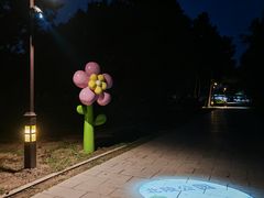 -北陵公园